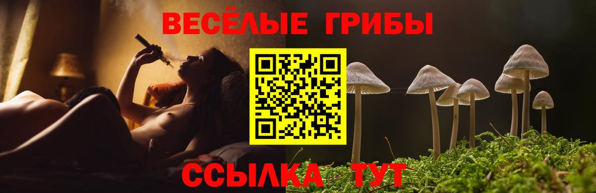 АМФЕТАМИН Видное